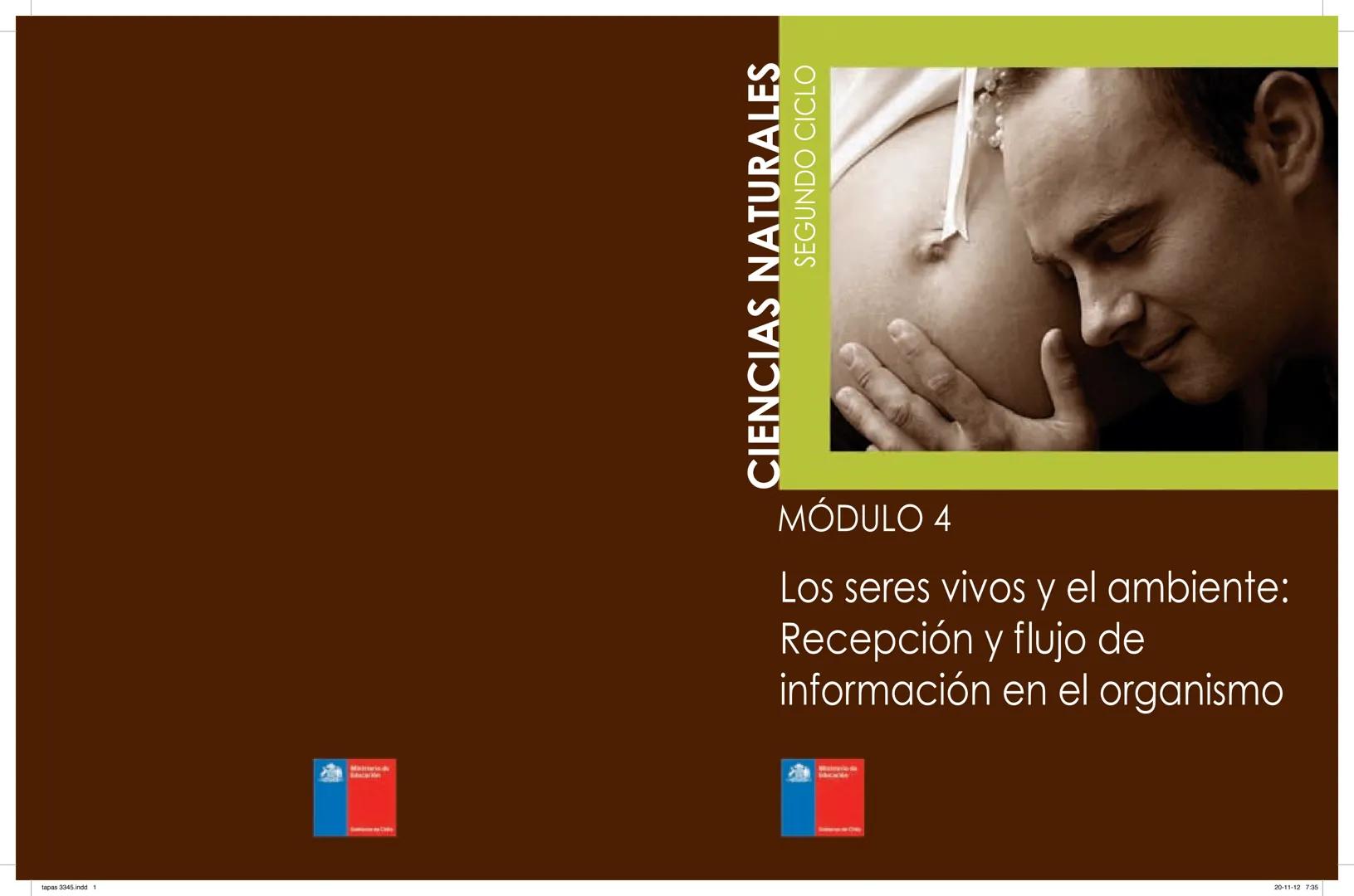 tapas 3345.indd 1
Ma
CIENCIAS NATURALES
SEGUNDO CICLO
MÓDULO 4
Los seres vivos y el ambiente:
Recepción y flujo de
información en el organis