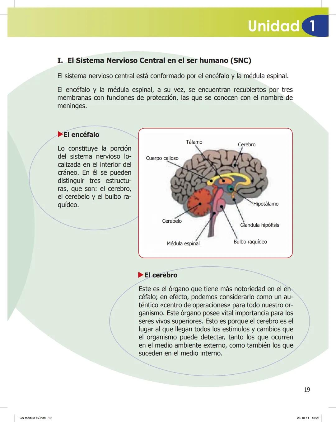 tapas 3345.indd 1
Ma
CIENCIAS NATURALES
SEGUNDO CICLO
MÓDULO 4
Los seres vivos y el ambiente:
Recepción y flujo de
información en el organis
