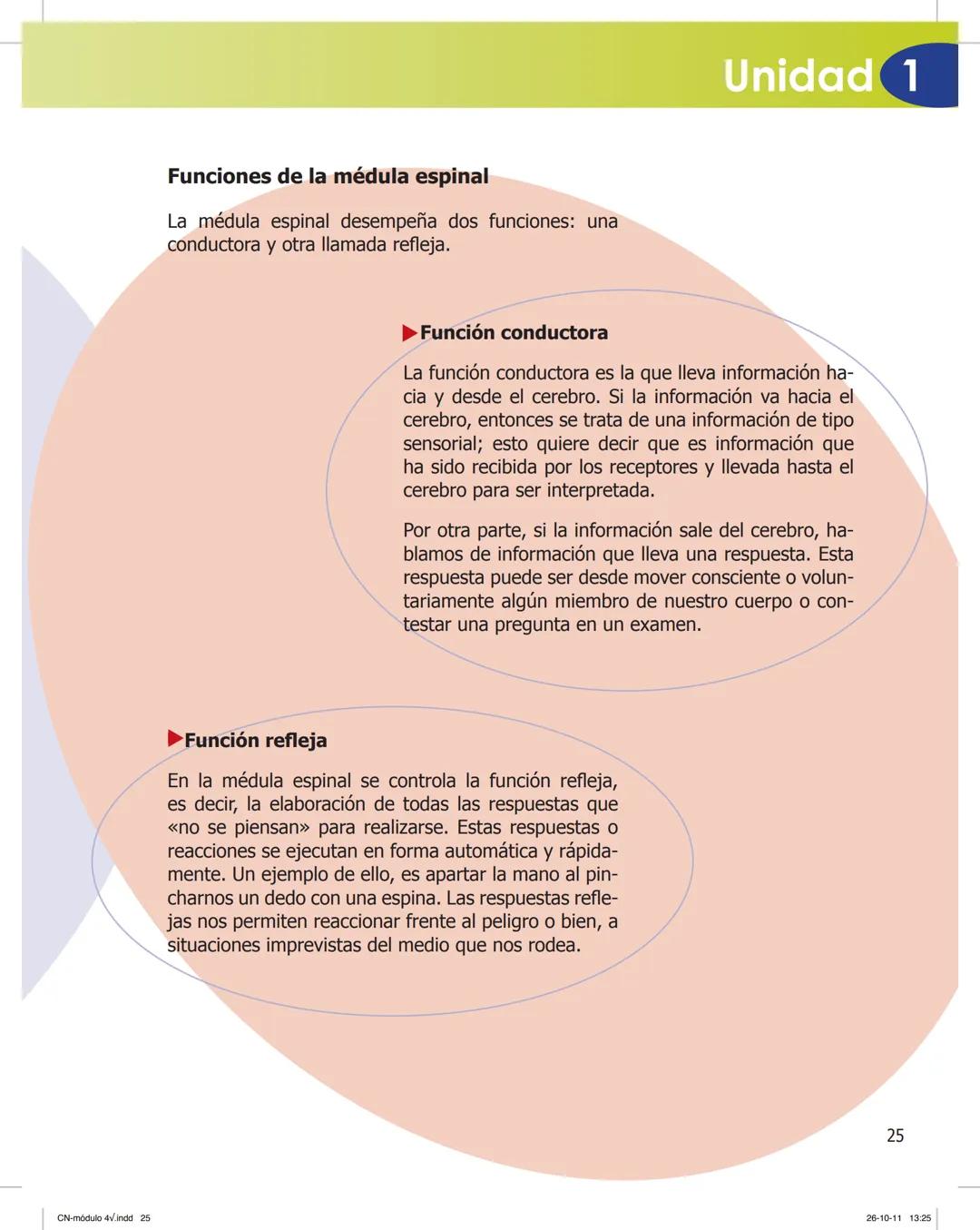 tapas 3345.indd 1
Ma
CIENCIAS NATURALES
SEGUNDO CICLO
MÓDULO 4
Los seres vivos y el ambiente:
Recepción y flujo de
información en el organis