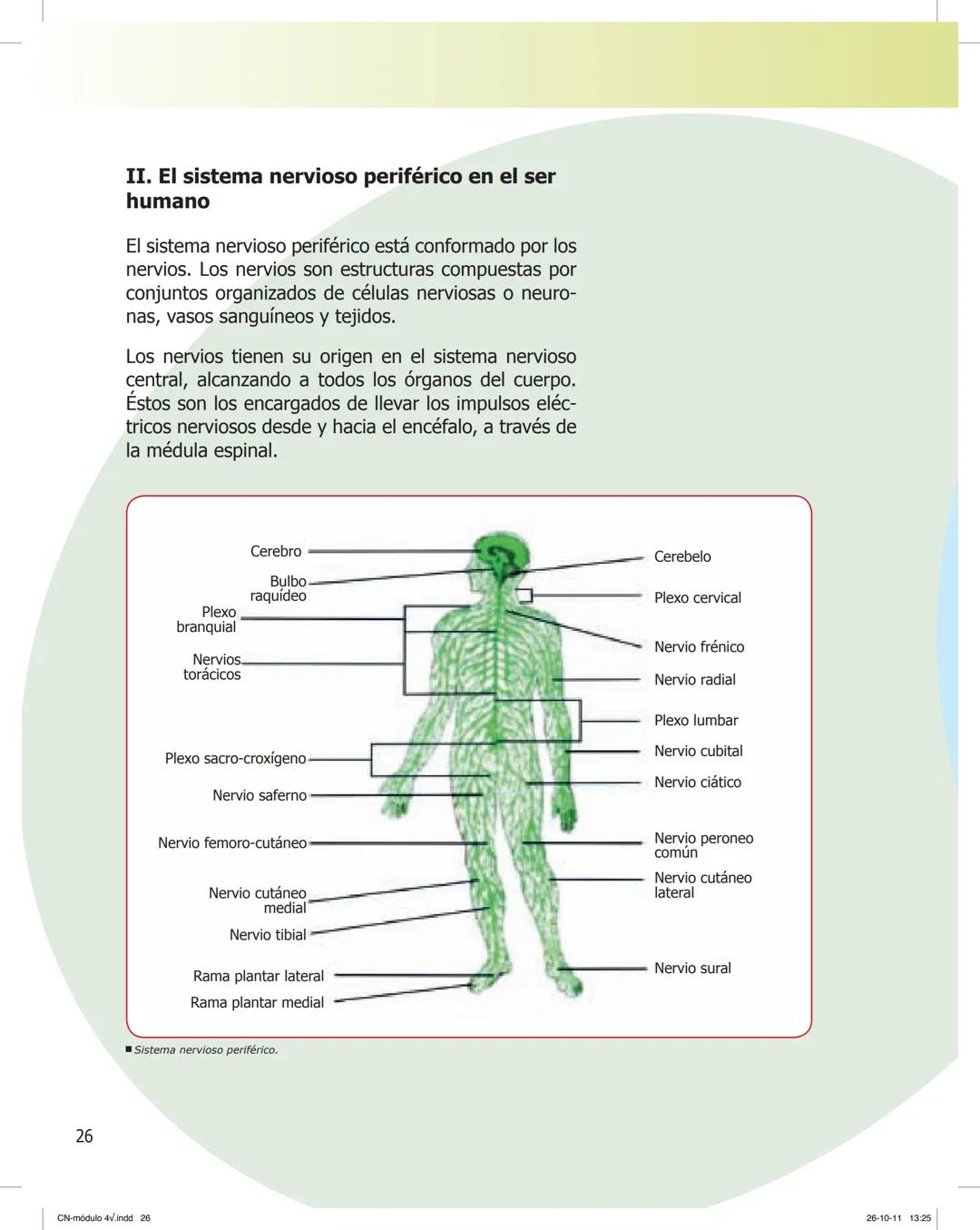 tapas 3345.indd 1
Ma
CIENCIAS NATURALES
SEGUNDO CICLO
MÓDULO 4
Los seres vivos y el ambiente:
Recepción y flujo de
información en el organis