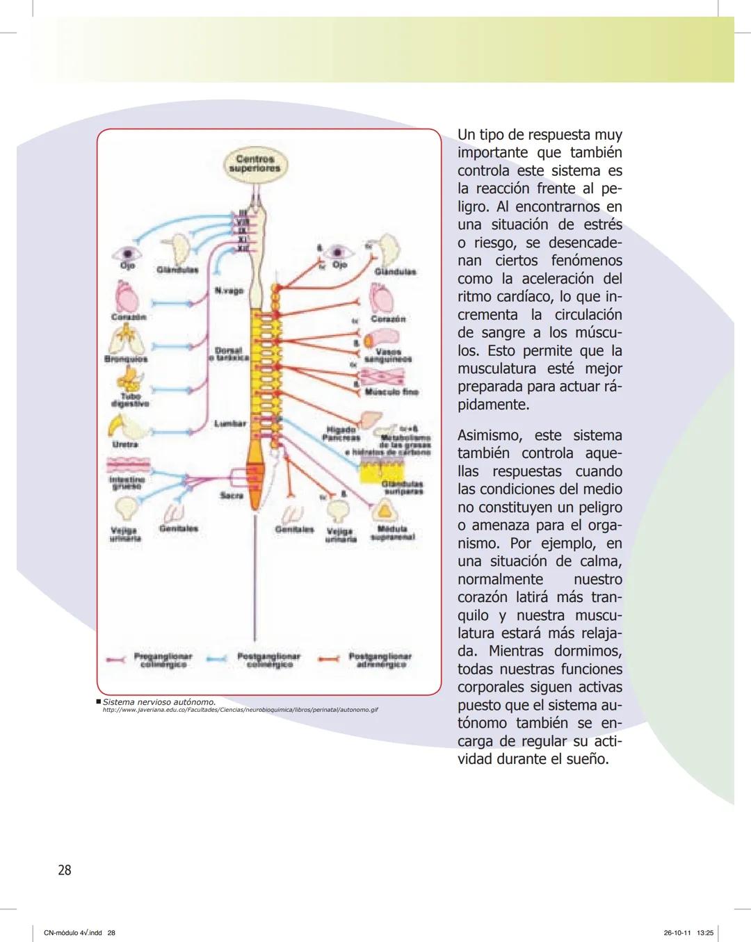 tapas 3345.indd 1
Ma
CIENCIAS NATURALES
SEGUNDO CICLO
MÓDULO 4
Los seres vivos y el ambiente:
Recepción y flujo de
información en el organis