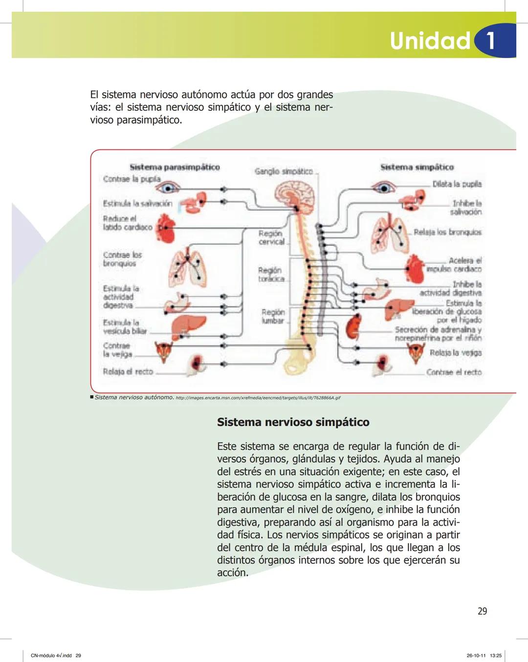 tapas 3345.indd 1
Ma
CIENCIAS NATURALES
SEGUNDO CICLO
MÓDULO 4
Los seres vivos y el ambiente:
Recepción y flujo de
información en el organis
