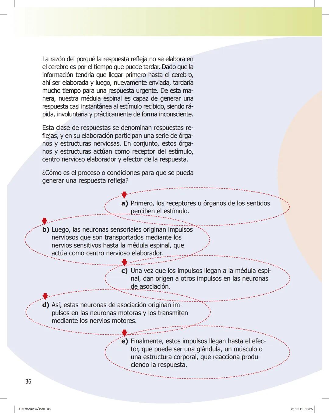 tapas 3345.indd 1
Ma
CIENCIAS NATURALES
SEGUNDO CICLO
MÓDULO 4
Los seres vivos y el ambiente:
Recepción y flujo de
información en el organis
