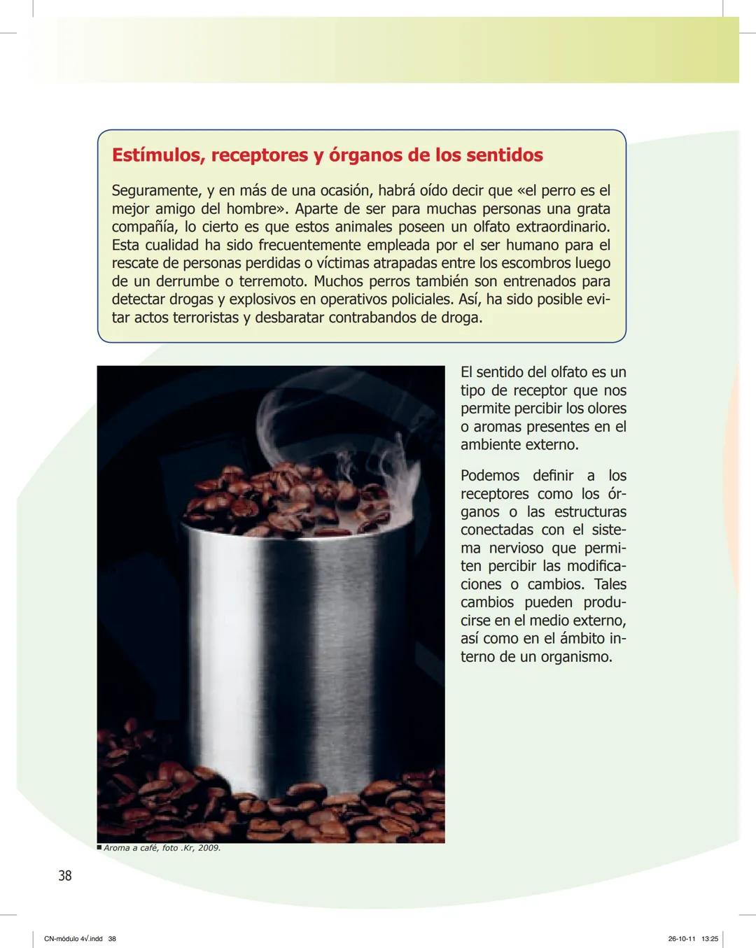 tapas 3345.indd 1
Ma
CIENCIAS NATURALES
SEGUNDO CICLO
MÓDULO 4
Los seres vivos y el ambiente:
Recepción y flujo de
información en el organis
