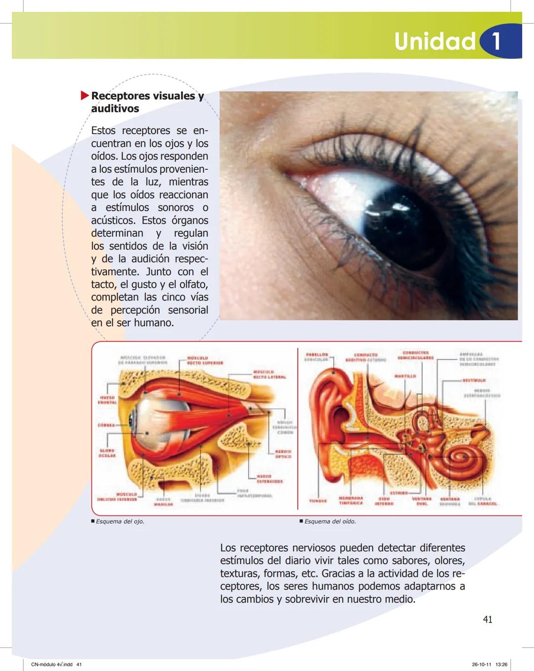 tapas 3345.indd 1
Ma
CIENCIAS NATURALES
SEGUNDO CICLO
MÓDULO 4
Los seres vivos y el ambiente:
Recepción y flujo de
información en el organis
