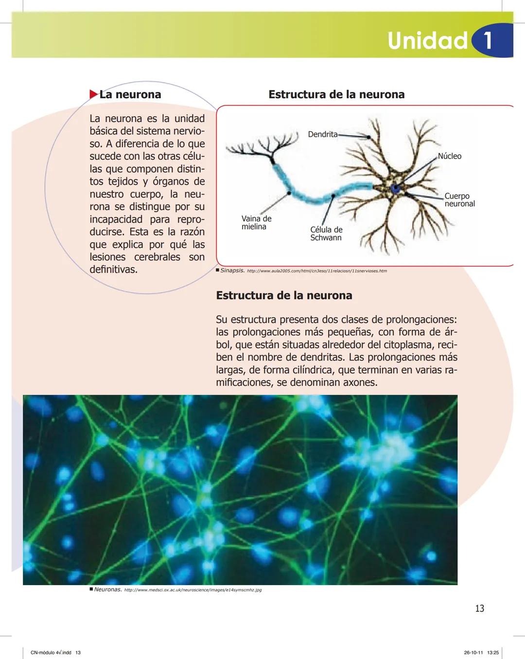 tapas 3345.indd 1
Ma
CIENCIAS NATURALES
SEGUNDO CICLO
MÓDULO 4
Los seres vivos y el ambiente:
Recepción y flujo de
información en el organis