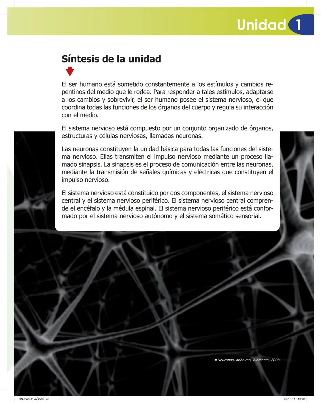 tapas 3345.indd 1
Ma
CIENCIAS NATURALES
SEGUNDO CICLO
MÓDULO 4
Los seres vivos y el ambiente:
Recepción y flujo de
información en el organis