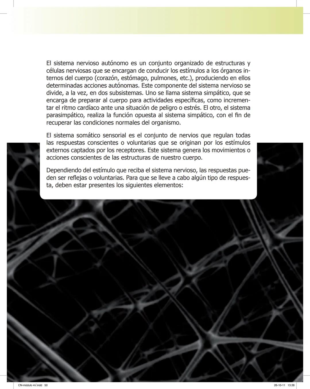 tapas 3345.indd 1
Ma
CIENCIAS NATURALES
SEGUNDO CICLO
MÓDULO 4
Los seres vivos y el ambiente:
Recepción y flujo de
información en el organis
