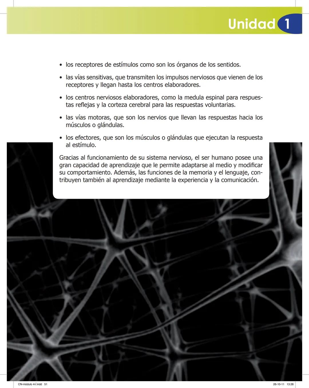 tapas 3345.indd 1
Ma
CIENCIAS NATURALES
SEGUNDO CICLO
MÓDULO 4
Los seres vivos y el ambiente:
Recepción y flujo de
información en el organis