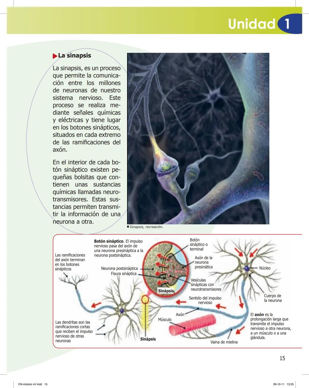 tapas 3345.indd 1
Ma
CIENCIAS NATURALES
SEGUNDO CICLO
MÓDULO 4
Los seres vivos y el ambiente:
Recepción y flujo de
información en el organis