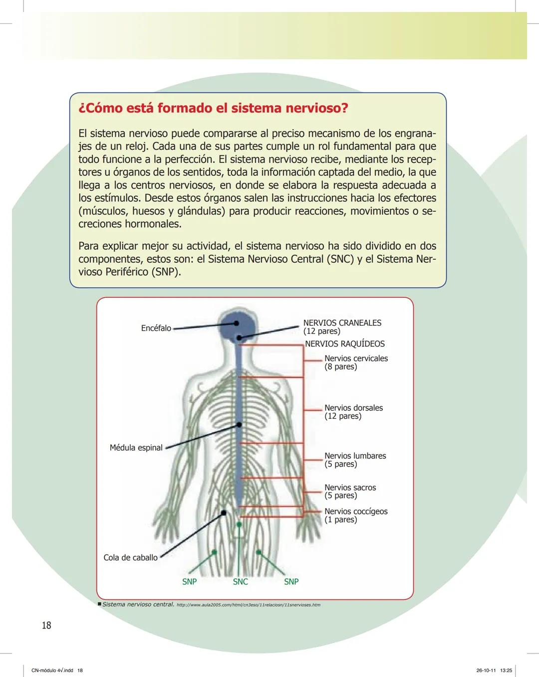 tapas 3345.indd 1
Ma
CIENCIAS NATURALES
SEGUNDO CICLO
MÓDULO 4
Los seres vivos y el ambiente:
Recepción y flujo de
información en el organis