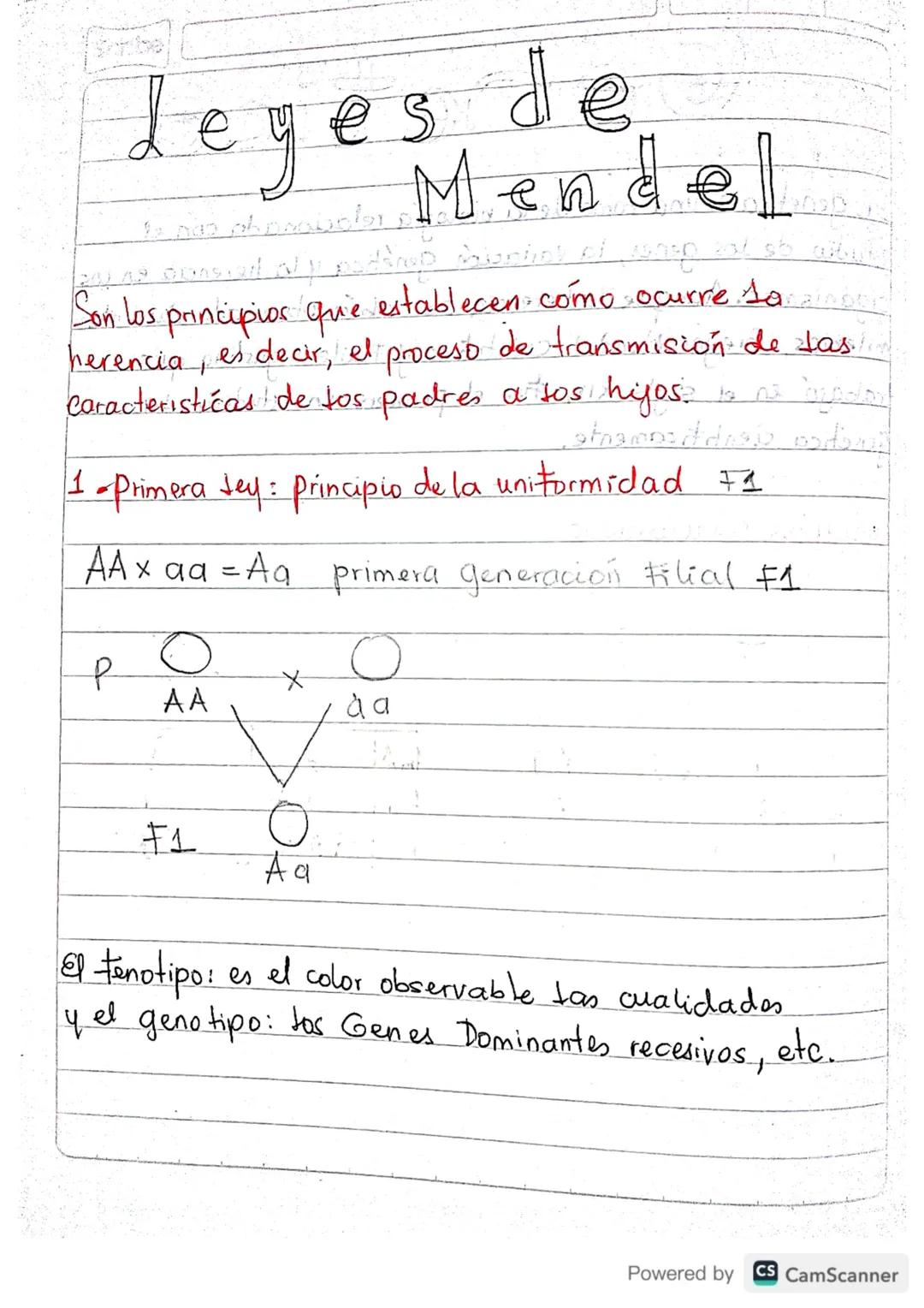 Leges de
Mendel
Son los principios que establecen como ocurre lanainber
herencia, es decir, el proceso de transmisión de las
Caracteristicas