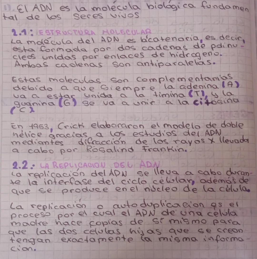 ADN, ARN y bases genéticas