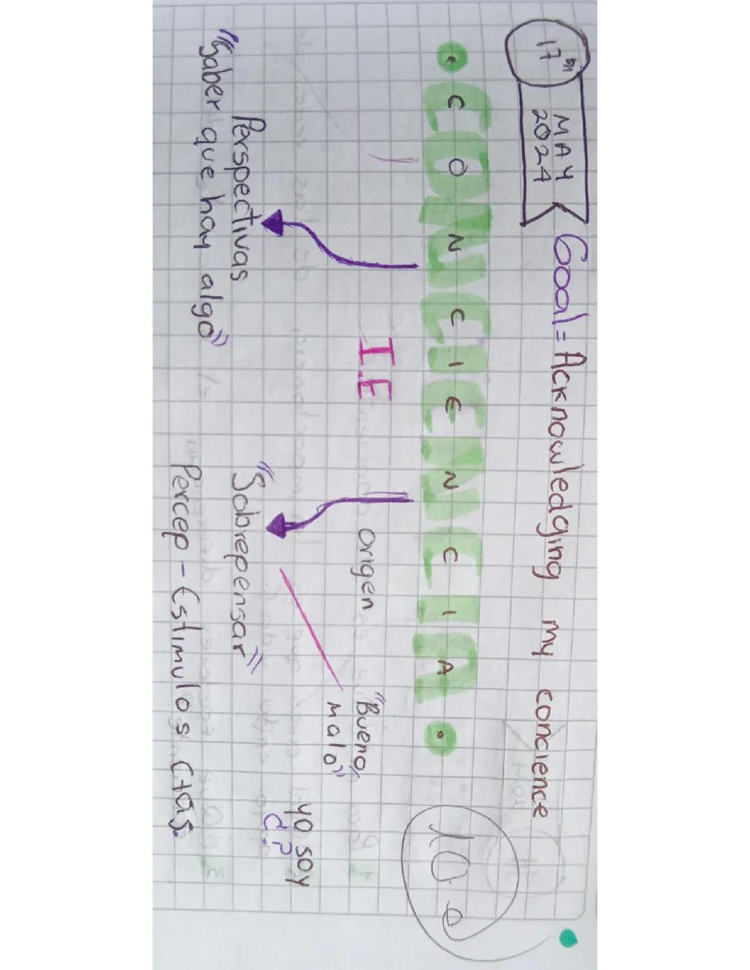 Entendiendo la Inteligencia Emocional