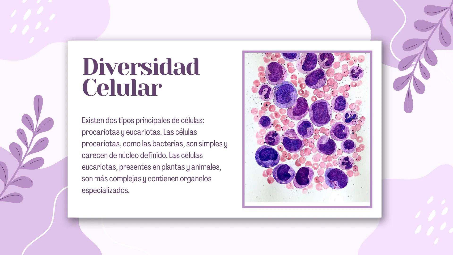 La Célula:
Unidad Básica
de la Vida Diversidad
Celular
Existen dos tipos principales de células:
procariotas y eucariotas. Las células
proca