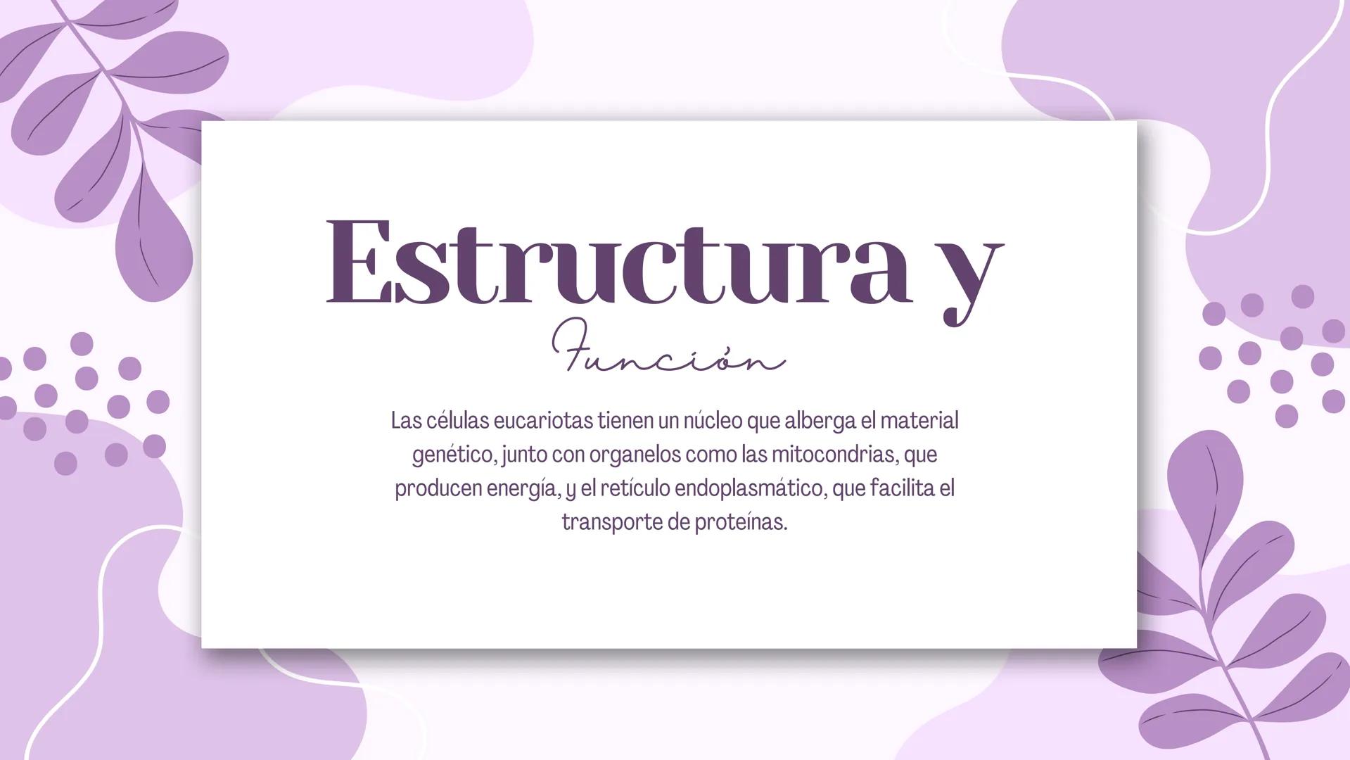 La Célula:
Unidad Básica
de la Vida Diversidad
Celular
Existen dos tipos principales de células:
procariotas y eucariotas. Las células
proca