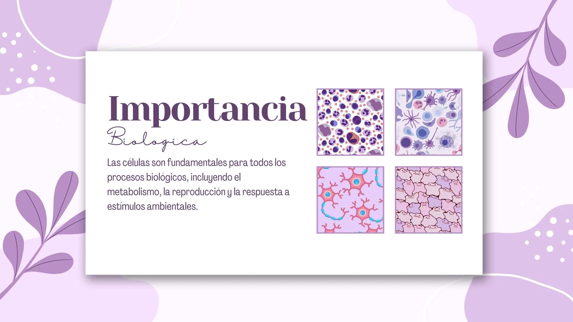 La Célula:
Unidad Básica
de la Vida Diversidad
Celular
Existen dos tipos principales de células:
procariotas y eucariotas. Las células
proca