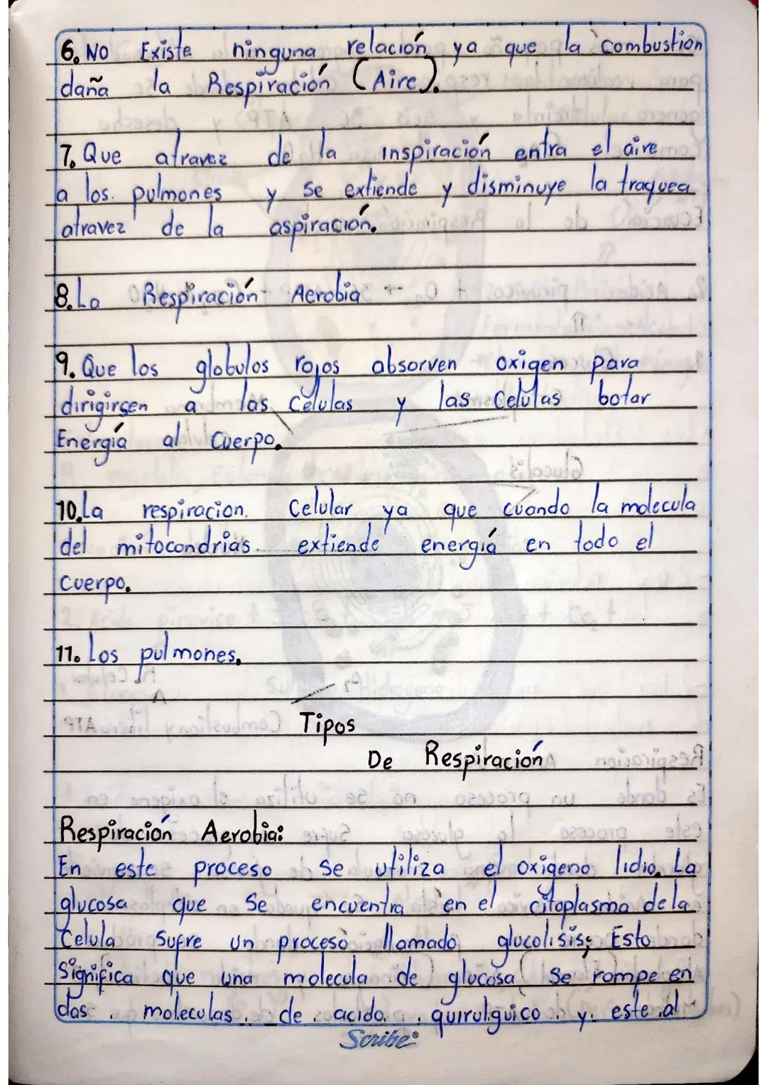 Respiración de los 5 Reinos