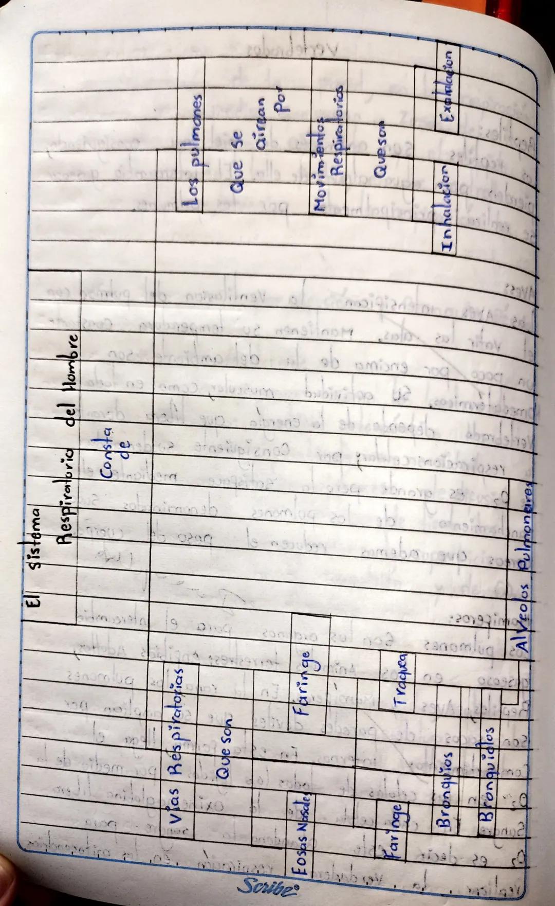 7. Que atraves
atravez de la
6. No Existe ninguna relación ya que
daña la Respiración (Aire).
TA
Ta combustion
de la Inspiración entra el ai