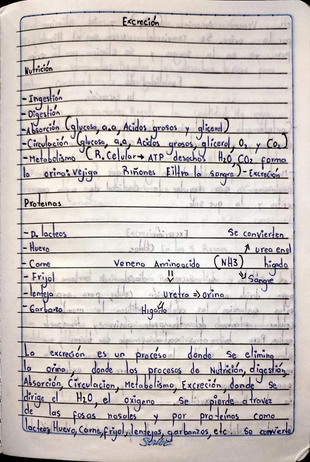 7. Que atraves
atravez de la
6. No Existe ninguna relación ya que
daña la Respiración (Aire).
TA
Ta combustion
de la Inspiración entra el ai