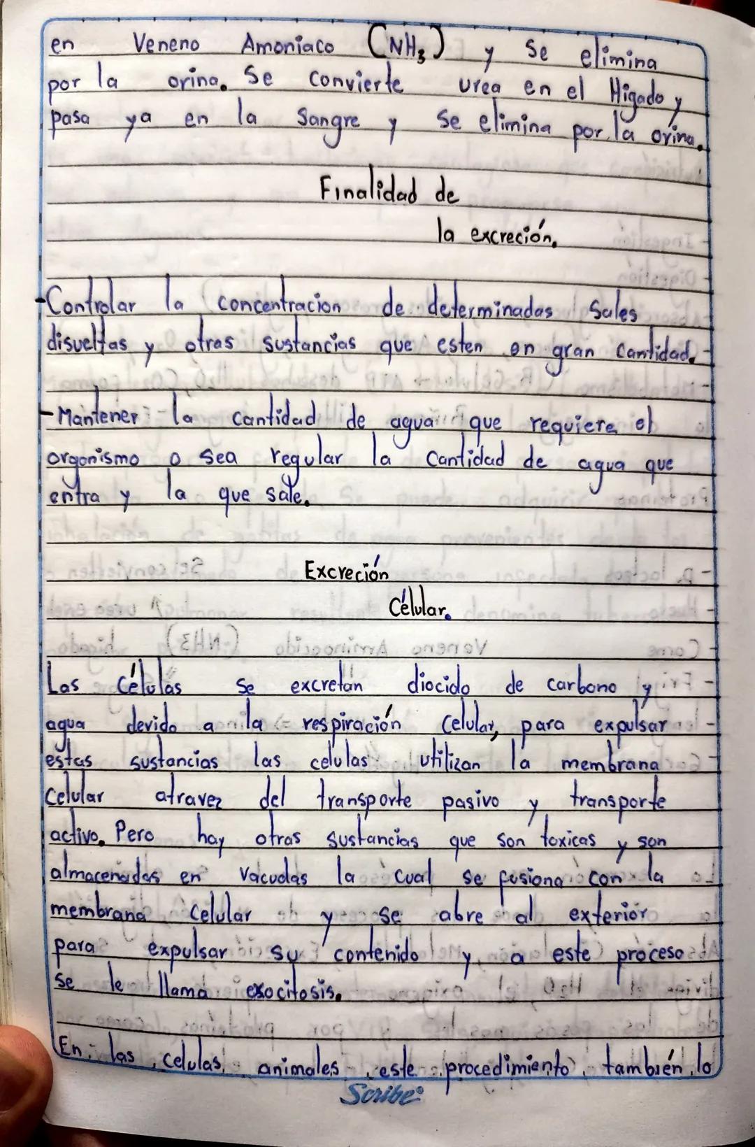 7. Que atraves
atravez de la
6. No Existe ninguna relación ya que
daña la Respiración (Aire).
TA
Ta combustion
de la Inspiración entra el ai