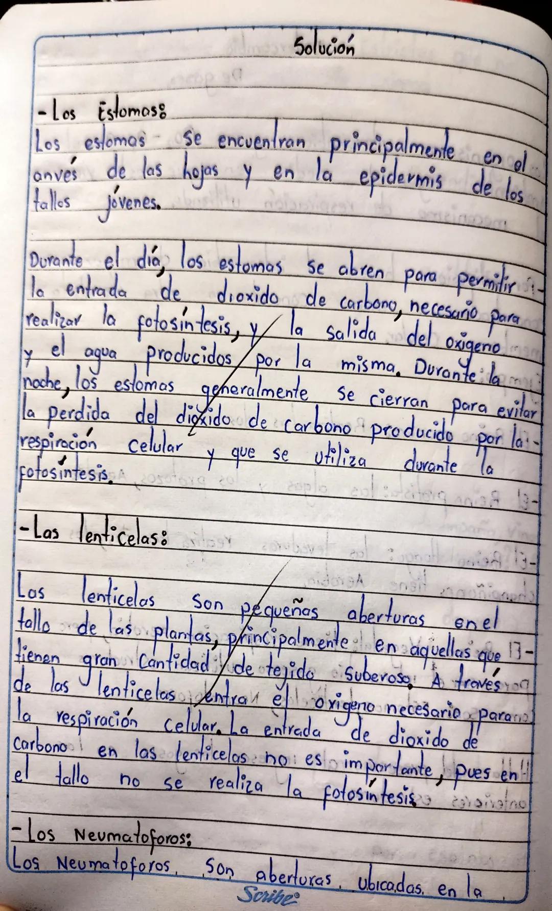 7. Que atraves
atravez de la
6. No Existe ninguna relación ya que
daña la Respiración (Aire).
TA
Ta combustion
de la Inspiración entra el ai