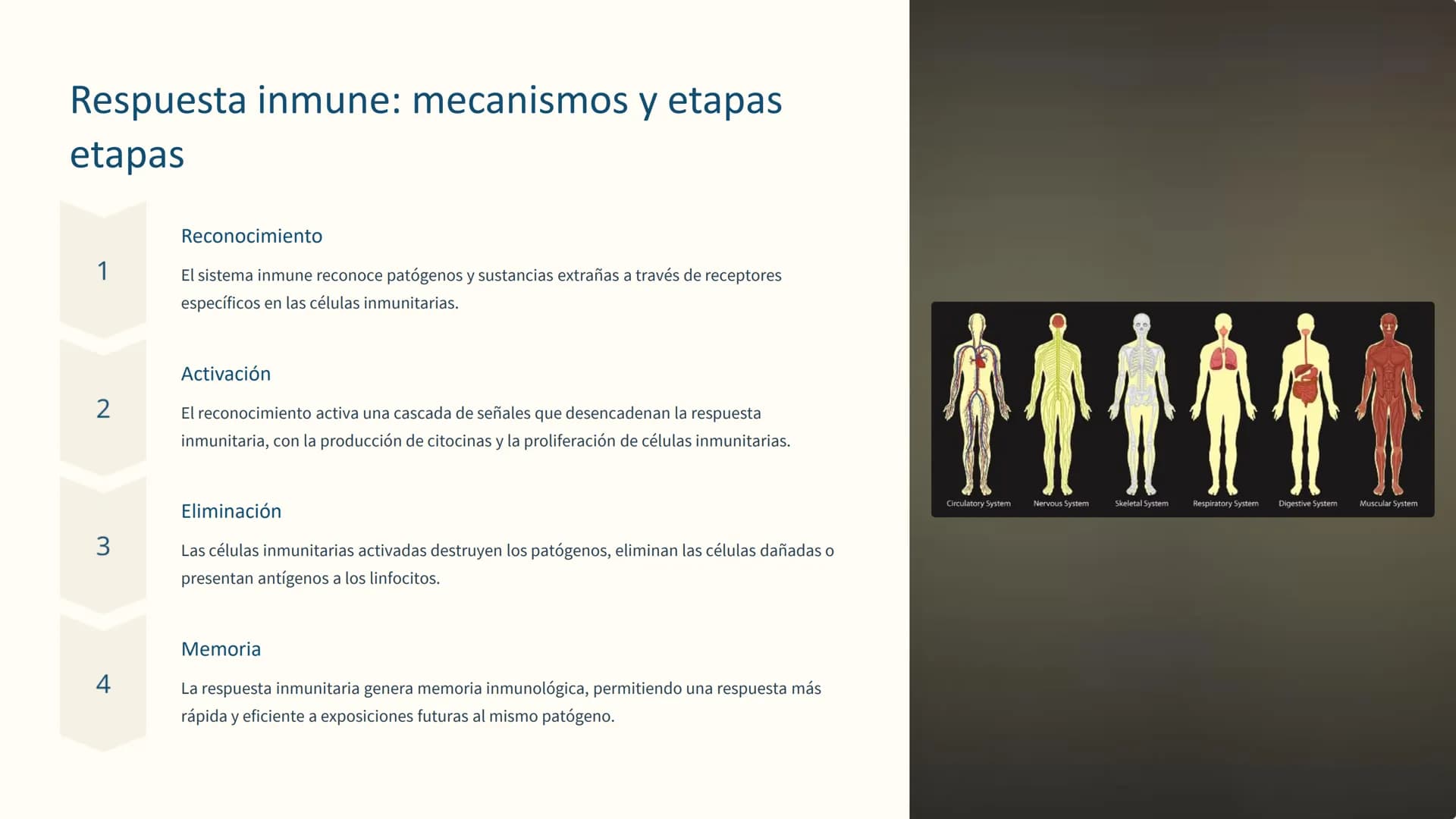 la inmunología
La inmunología es el estudio del sistema inmune, el complejo sistema
de defensa del cuerpo contra patógenos y enfermedades. E