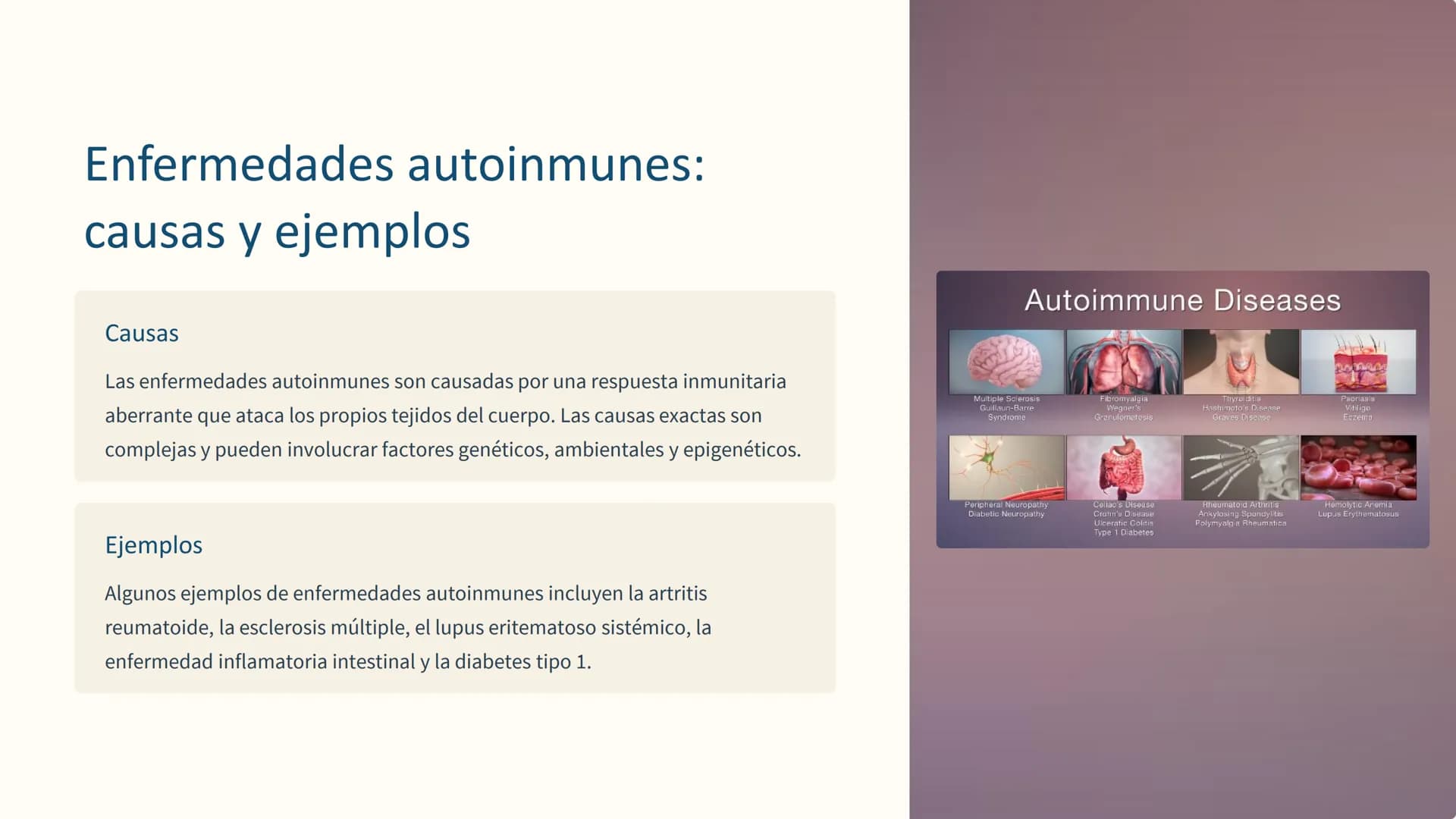 la inmunología
La inmunología es el estudio del sistema inmune, el complejo sistema
de defensa del cuerpo contra patógenos y enfermedades. E