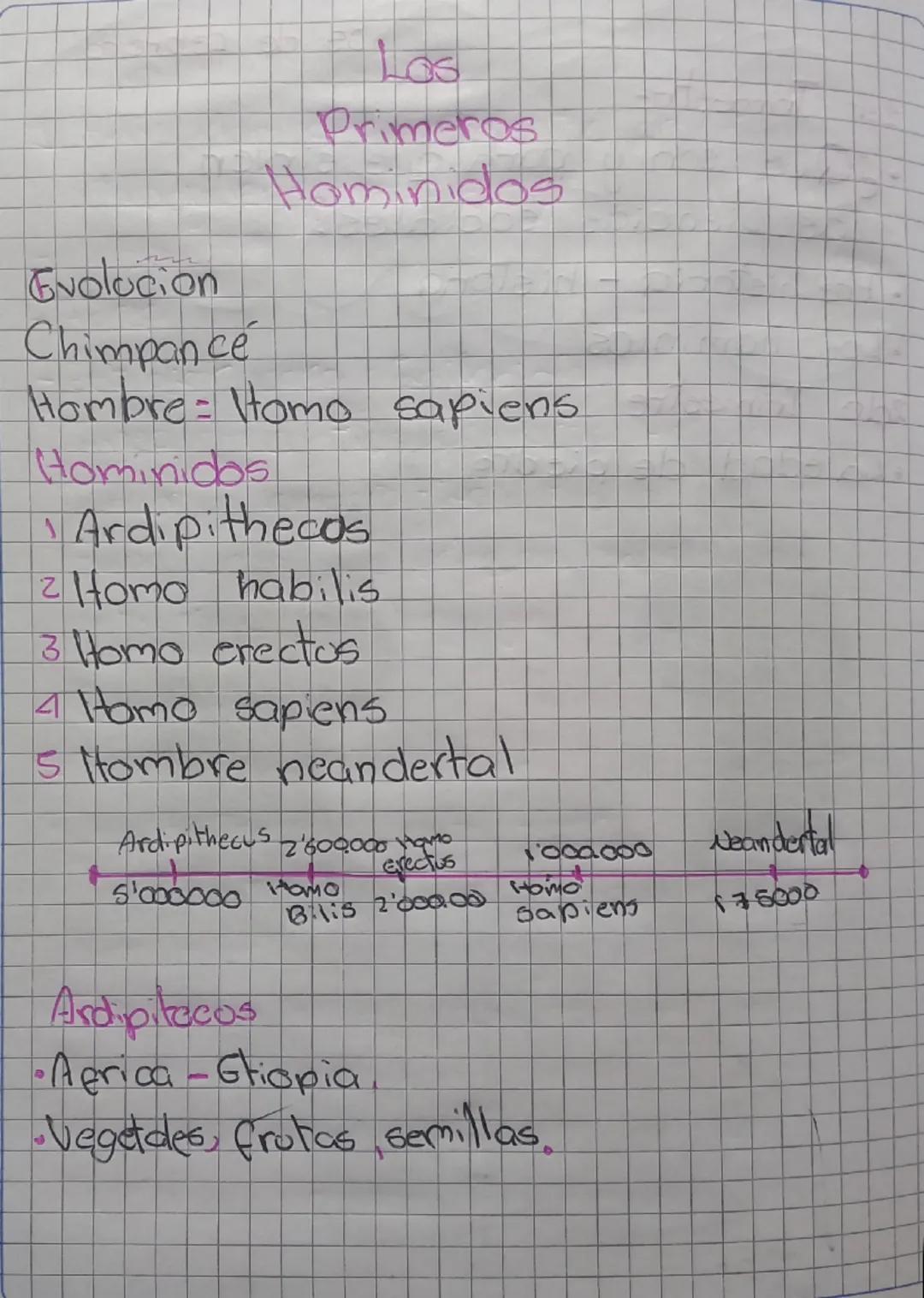 Los
Primeros
Hominidos

Gvolucion
Chimpancé
Hombre: Homo sapiens
Hominidos
1 Ardipithecos
2 Homo habilis
3 Homo erectus
4 Homo sapiens
15 It