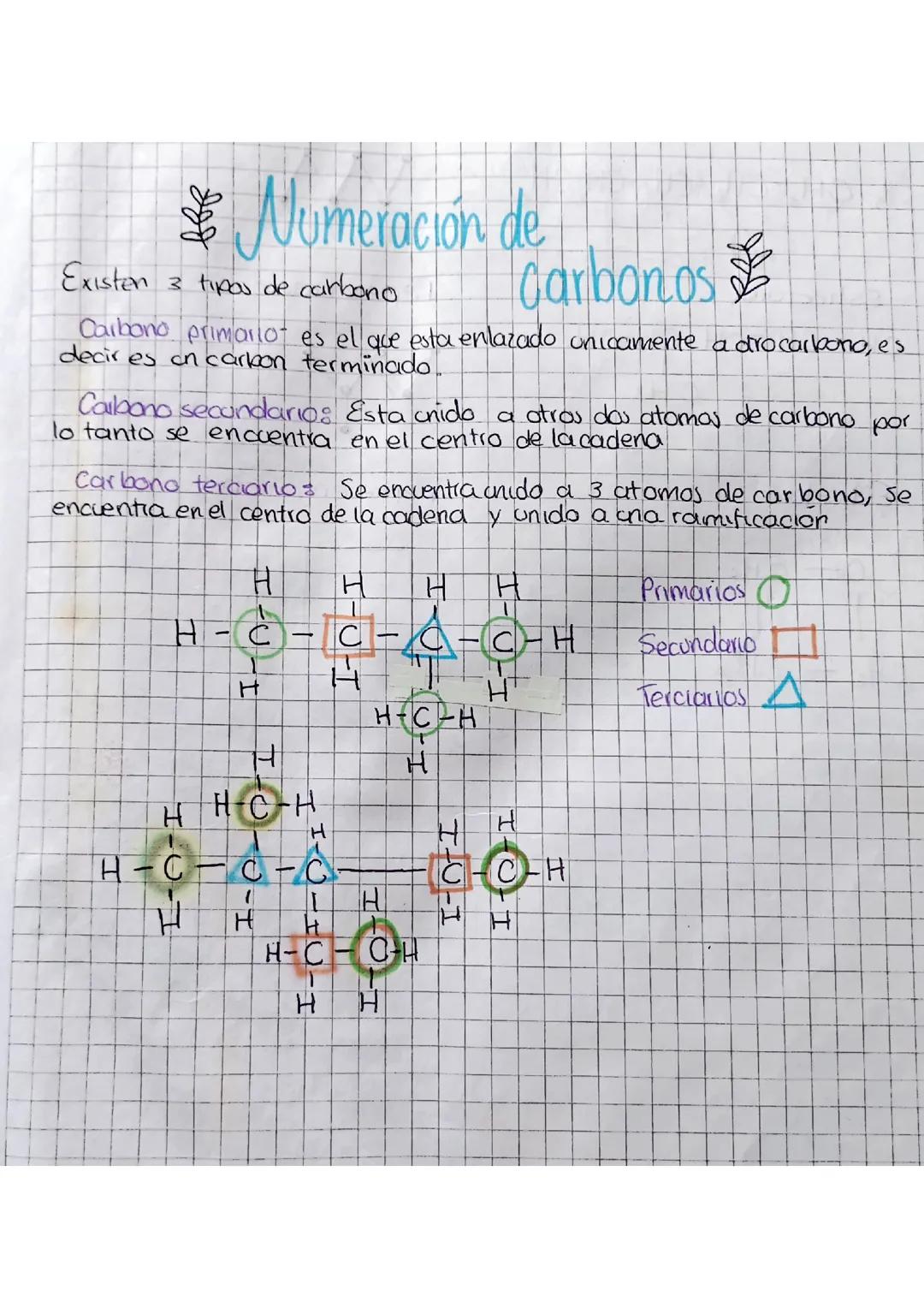 10 Tipos de Carbonos: Ejemplos y Resúmenes para Peques