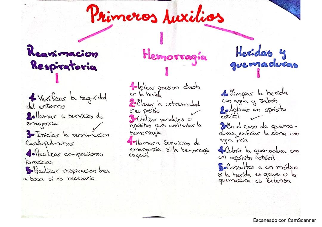 Primeros auxilios 