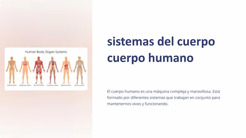 Human Body Organ Systems
Skeletal System Respiratory System Muscular System Circulatory System
Digestive System
Nervous System
sistemas del 