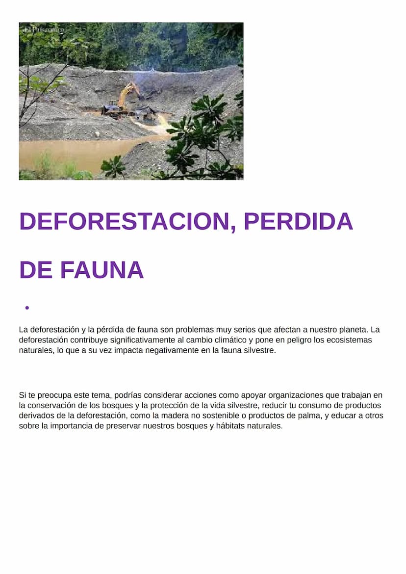 Problemática Ambiental
son todas esas realidades que amenazan de forma
inequívoca la estabilidad, salud y supervivencia de
los seres vivos, 