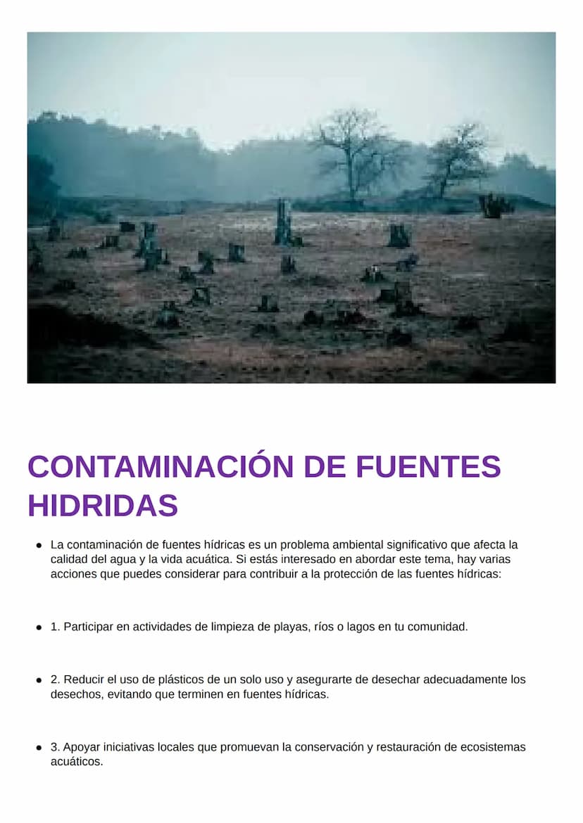 Problemática Ambiental
son todas esas realidades que amenazan de forma
inequívoca la estabilidad, salud y supervivencia de
los seres vivos, 