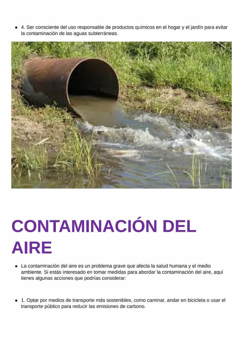 Problemática Ambiental
son todas esas realidades que amenazan de forma
inequívoca la estabilidad, salud y supervivencia de
los seres vivos, 