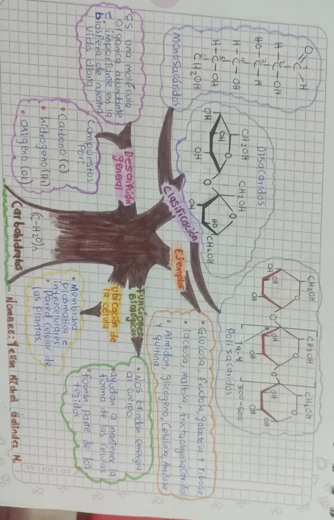 --- OCR Start ---
개
H-린-애
40--H
H-C-OH
H--OH
42애
MonoSacáridos
ΦΗ
Disacaridos
CH204
애
0
OH
CH2OH
OH
Clasificación
Es una molécula
Organica a