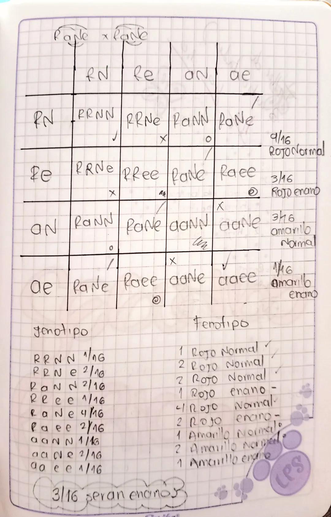 HERENCIA GENETICA
Gregol Mendel: "padre de lo genetica" experimenta
con guisantes las caracteristicas indi-
Son heredadas por genes.
viduale