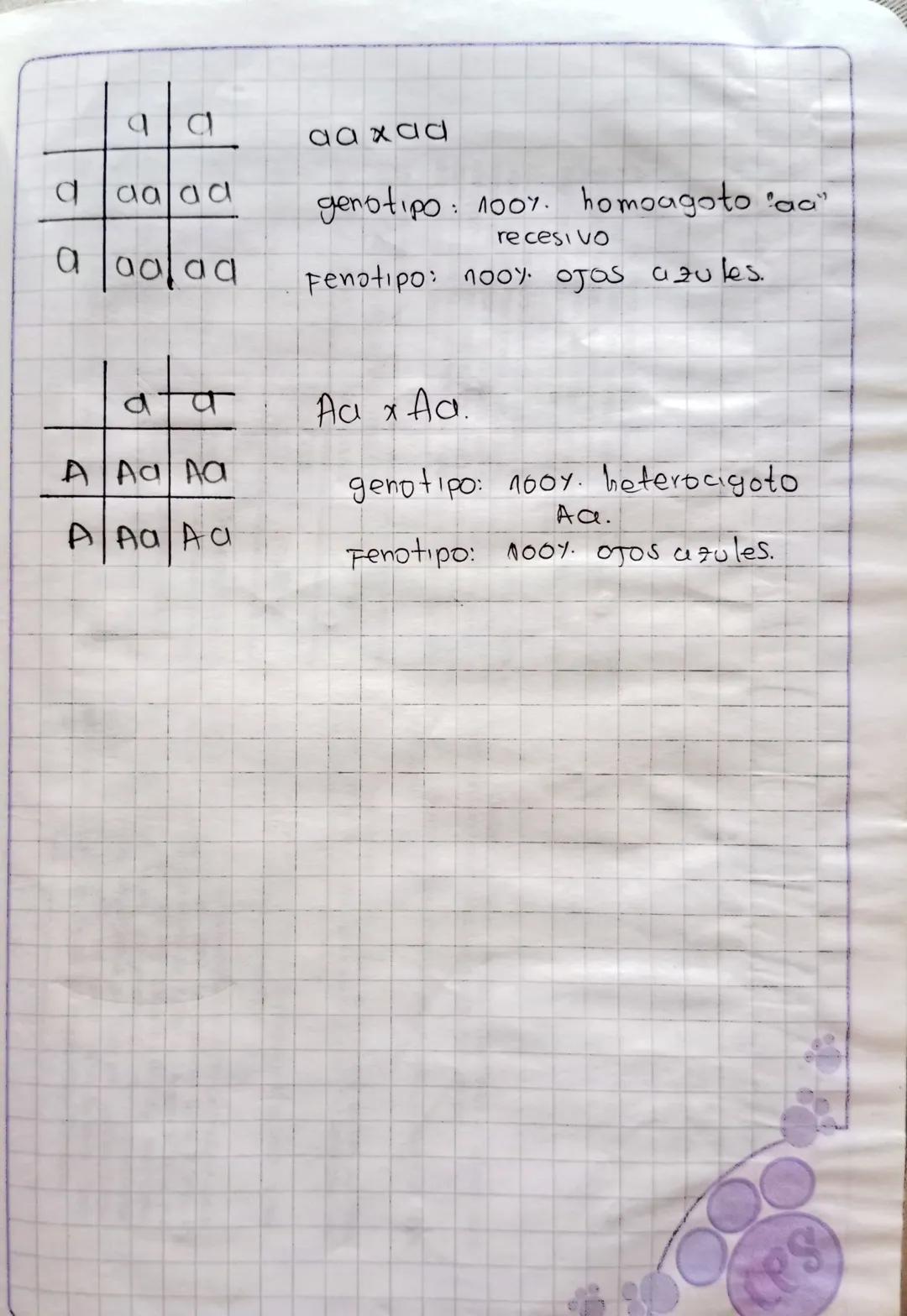 HERENCIA GENETICA
Gregol Mendel: "padre de lo genetica" experimenta
con guisantes las caracteristicas indi-
Son heredadas por genes.
viduale