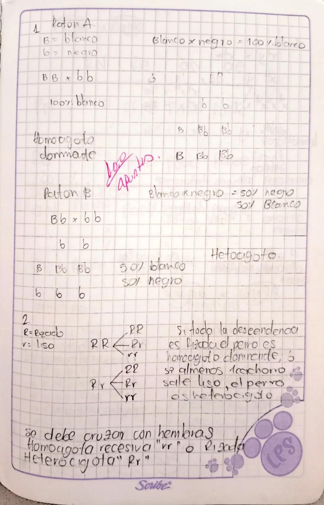 HERENCIA GENETICA
Gregol Mendel: "padre de lo genetica" experimenta
con guisantes las caracteristicas indi-
Son heredadas por genes.
viduale