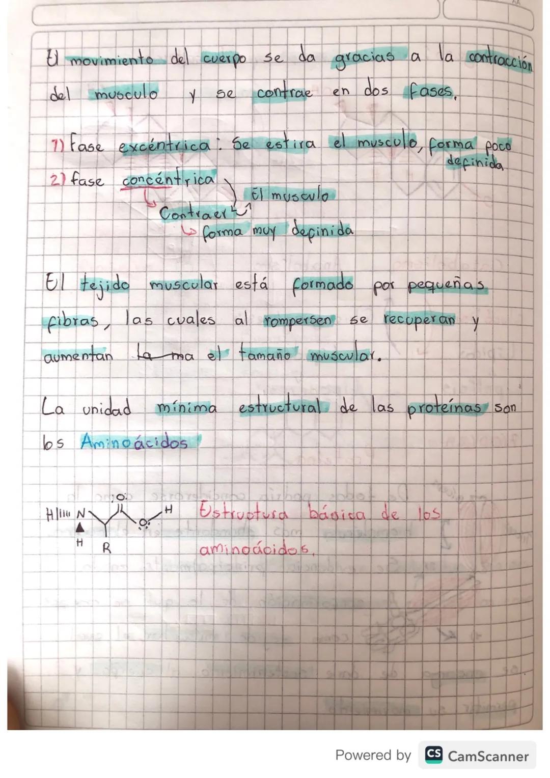 OH

Catabolismo Anabolismo

Glucólisis J Glucogeogénesis

Lipidos Lipidos

Lipolisis Lipogenesis

7/05/24 Proteína

Triceps Biceps De todas 