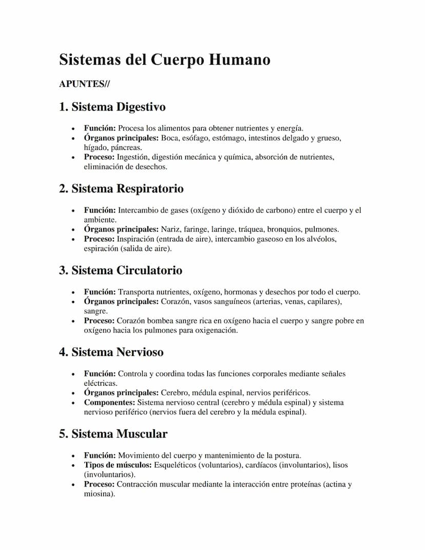 Sistemas del Cuerpo Humano
APUNTES//
1. Sistema Digestivo
•
Función: Procesa los alimentos para obtener nutrientes y energía.
•
Órganos prin