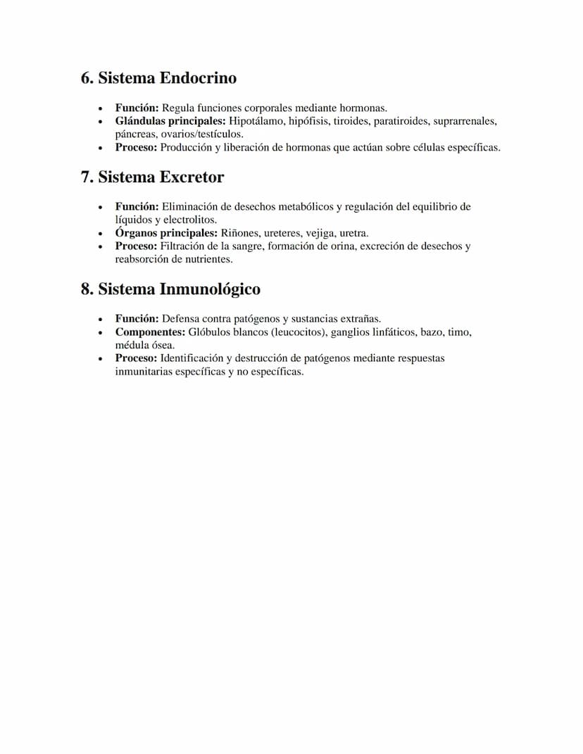 Sistemas del Cuerpo Humano
APUNTES//
1. Sistema Digestivo
•
Función: Procesa los alimentos para obtener nutrientes y energía.
•
Órganos prin