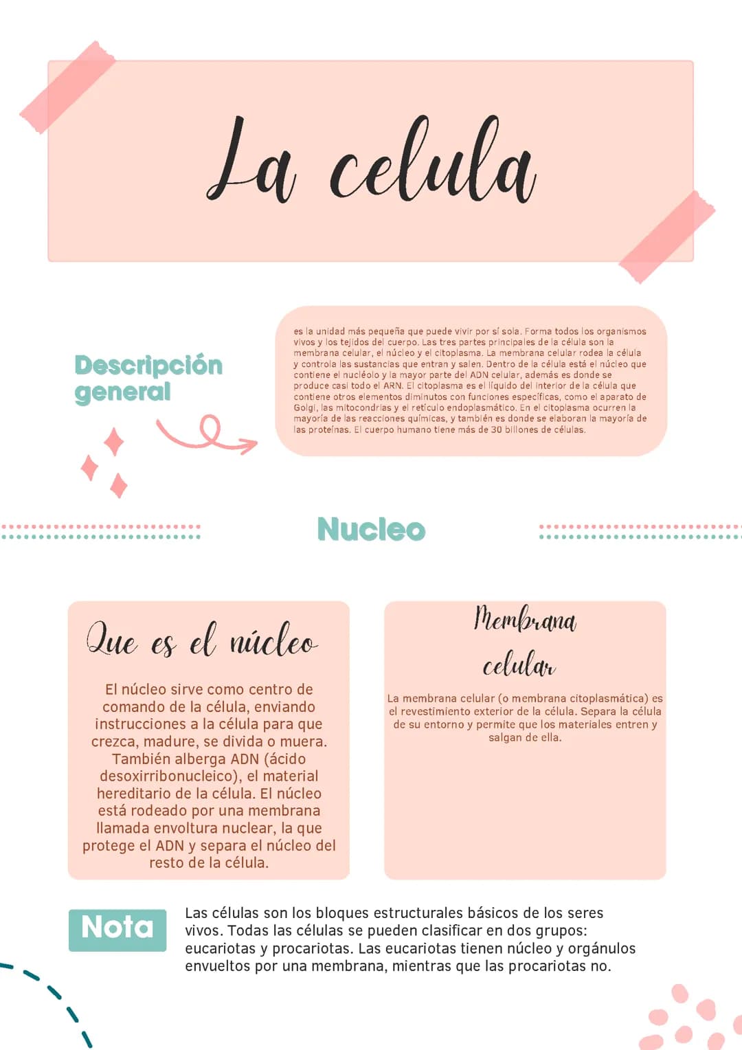 La célula 