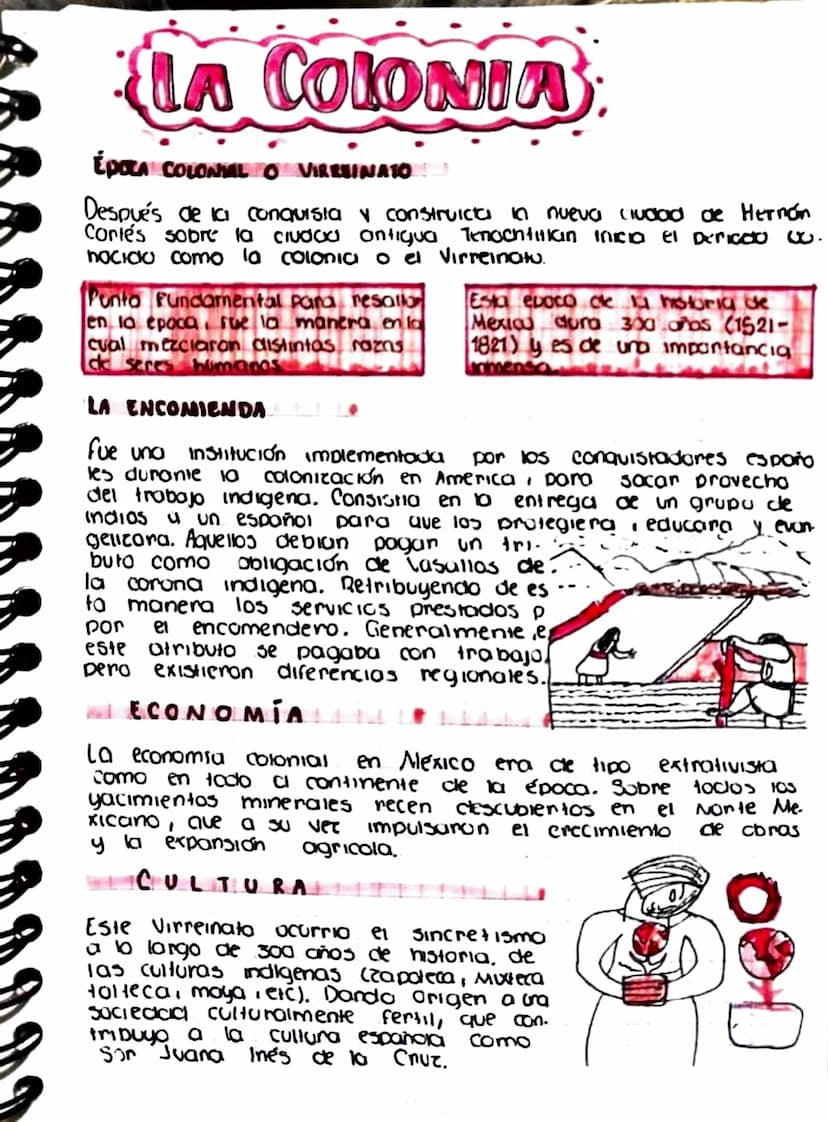 LA COLONIA
ÉPOCA COLONIAL O VIRREINATO
Después de la conquista y construicta in nueva ciudad de Hernán
Cortés sobre la ciudad antiqua Tenoch