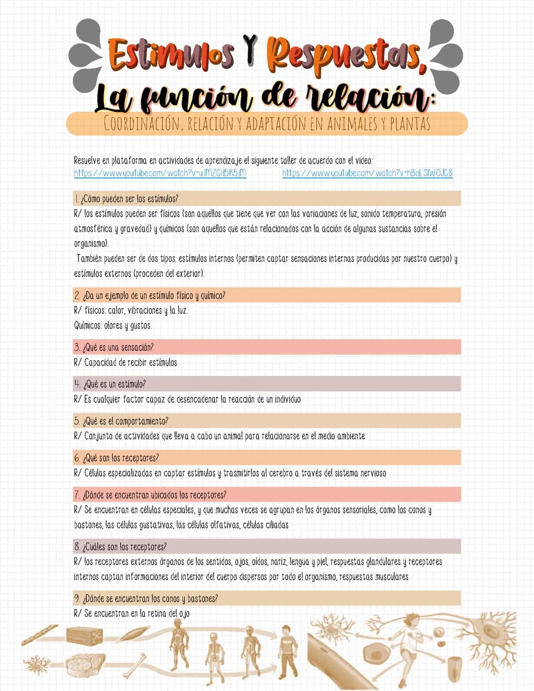 ESTÍMULOS Y RESPUESTAS - TALLER