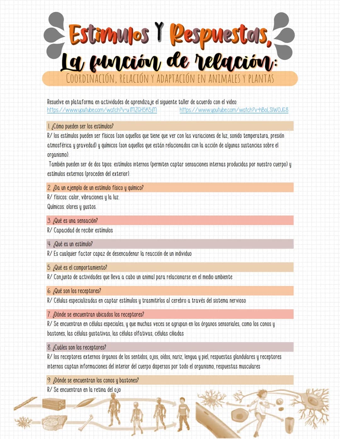 • Estimulos Y Respuestals,
La función de relación:
COORDINACIÓN, RELACIÓN Y ADAPTACIÓN EN ANIMALES Y PLANTAS
Resuelve en plataforma en activ