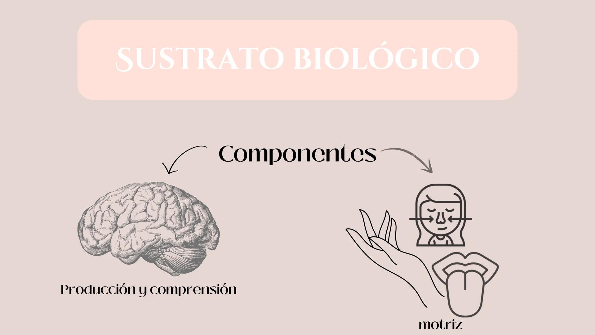 El lenguaje....
Generalidades
Es un conjunto de capacidades que permiten
utilizar sonidos para crear signos o símbolos
arbitrarios.
Permite.