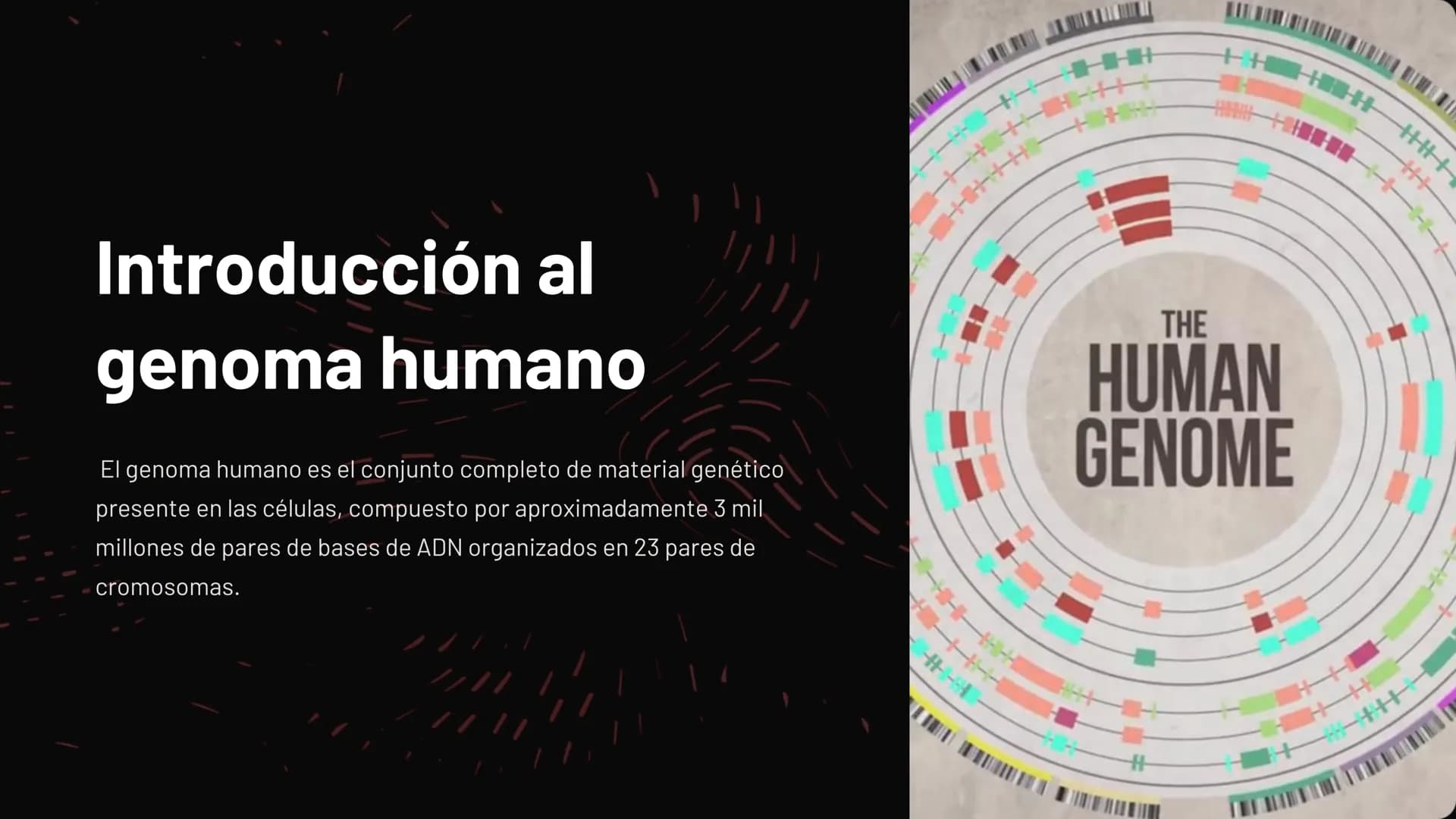 Introducción al
genoma humano
El genoma humano es el conjunto completo de material genético
presente en las células, compuesto por aproximad