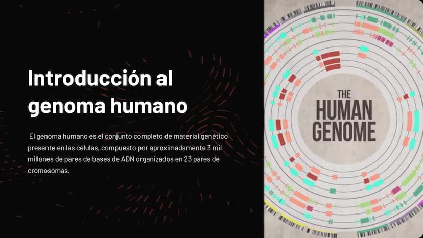 Introducción al
genoma humano
El genoma humano es el conjunto completo de material genético
presente en las células, compuesto por aproximad
