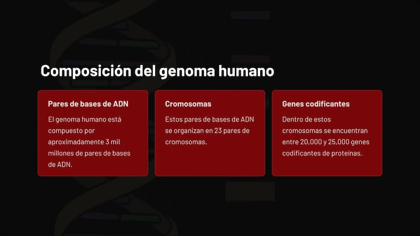 Introducción al
genoma humano
El genoma humano es el conjunto completo de material genético
presente en las células, compuesto por aproximad